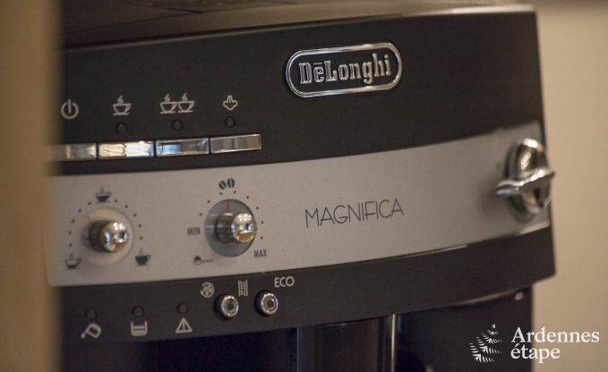 Ferienhaus Paliseul 8/9 Pers. Ardennen Wellness