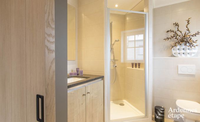 Ferienhaus Paliseul 8/9 Pers. Ardennen Wellness