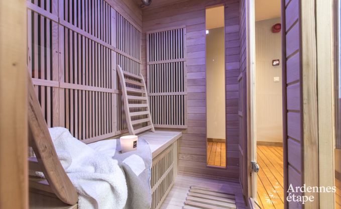 Ferienhaus Paliseul 8/9 Pers. Ardennen Wellness