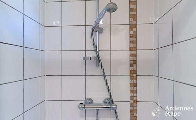 Ferienhaus Paliseul 20 Pers. Ardennen Wellness