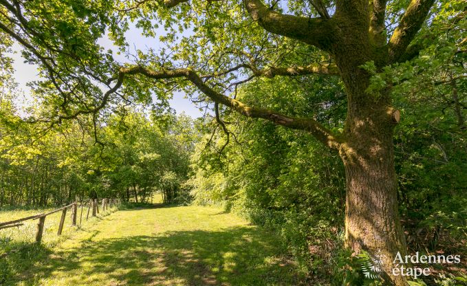 Ferienhaus Paliseul 20 Pers. Ardennen Wellness