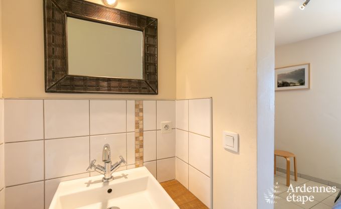 Ferienhaus Paliseul 20 Pers. Ardennen Wellness