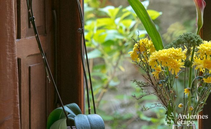 Ferienhaus Paliseul 26/28 Pers. Ardennen Wellness