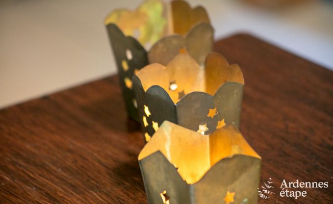 Ferienhaus Paliseul 26/28 Pers. Ardennen Wellness