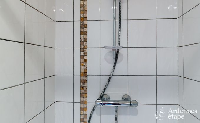 Ferienhaus Paliseul 26/28 Pers. Ardennen Wellness