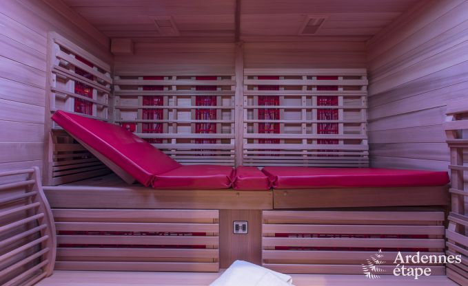 Ferienhaus Paliseul 12 Pers. Ardennen Wellness