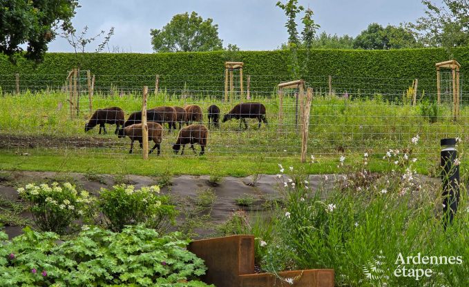 Ferienhaus fr 9 Personen mit Sauna und Garten im charmanten Our, Paliseul