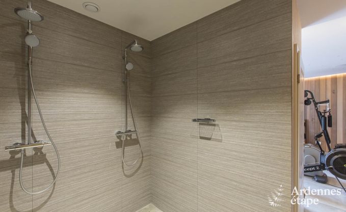 Ferienhaus Paliseul 12 Pers. Ardennen Schwimmbad Wellness