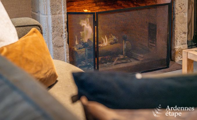 Ferienhaus Paliseul 12 Pers. Ardennen Schwimmbad Wellness