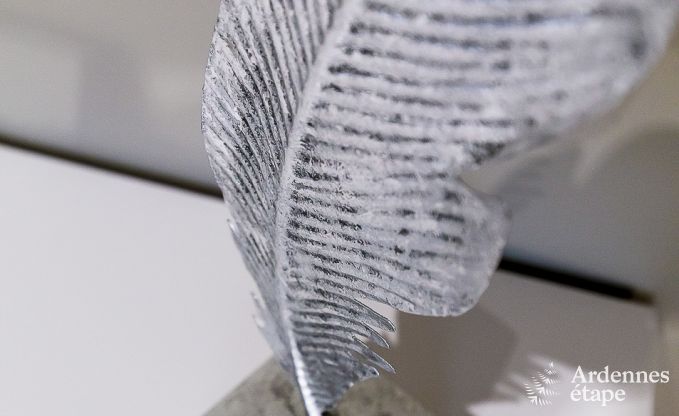 Ferienhaus Paliseul 14 Pers. Ardennen Schwimmbad Wellness Behinderten gerecht