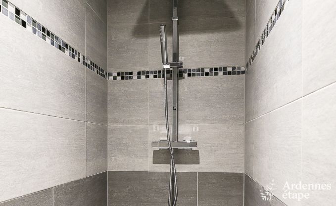 Ferienhaus Paliseul 14 Pers. Ardennen Schwimmbad Wellness Behinderten gerecht