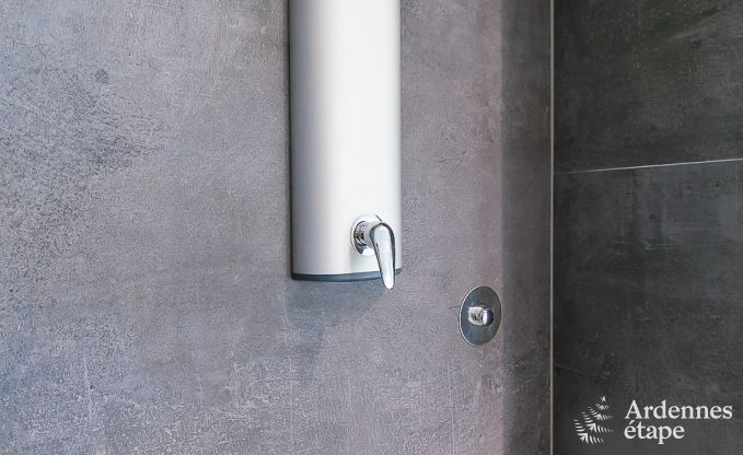 Ferienhaus Paliseul 14 Pers. Ardennen Schwimmbad Wellness Behinderten gerecht