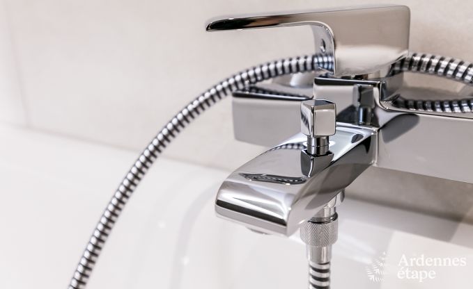 Ferienhaus Paliseul 14 Pers. Ardennen Schwimmbad Wellness Behinderten gerecht