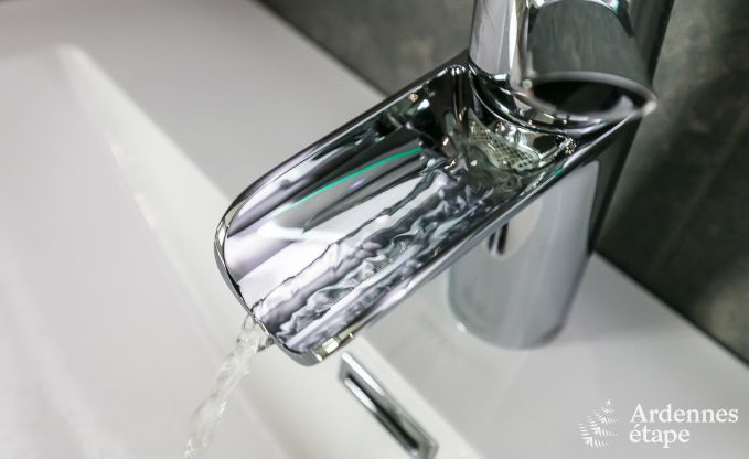 Ferienhaus Paliseul 14 Pers. Ardennen Schwimmbad Wellness Behinderten gerecht