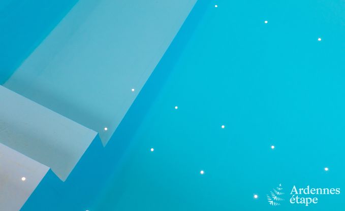 Ferienhaus Paliseul 14 Pers. Ardennen Schwimmbad Wellness Behinderten gerecht