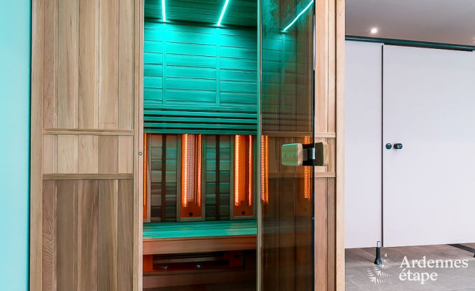 Ferienhaus Paliseul 14 Pers. Ardennen Schwimmbad Wellness Behinderten gerecht