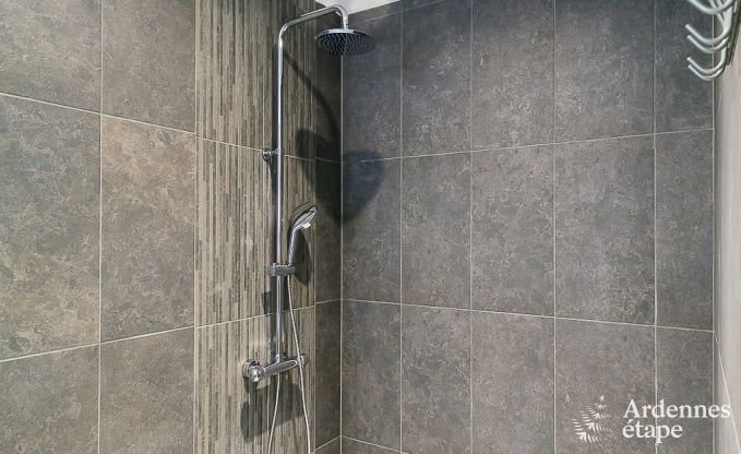 Ferienhaus Paliseul 14 Pers. Ardennen Schwimmbad Wellness Behinderten gerecht