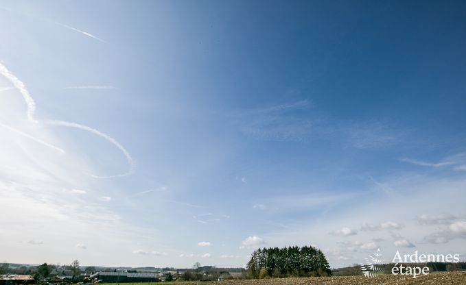 Ferienhaus Paliseul 14 Pers. Ardennen Schwimmbad Wellness Behinderten gerecht