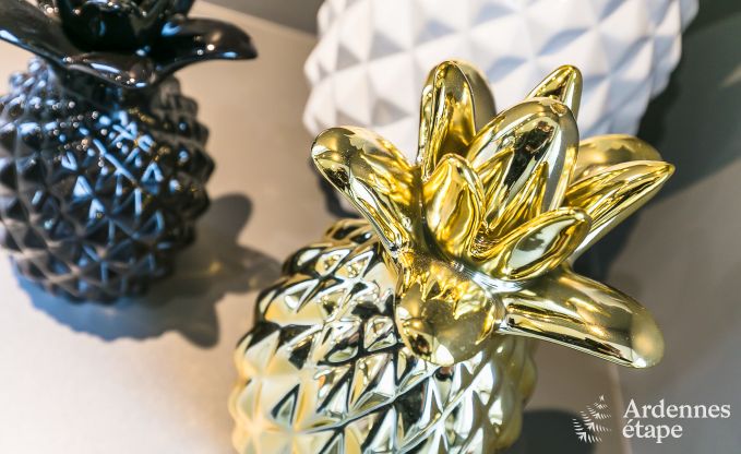 Ferienhaus Paliseul 14 Pers. Ardennen Schwimmbad Wellness Behinderten gerecht