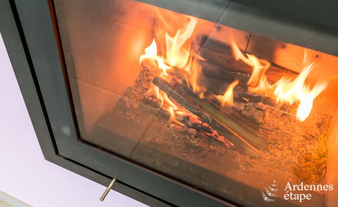 Ferienhaus Paliseul 14 Pers. Ardennen Schwimmbad Wellness Behinderten gerecht