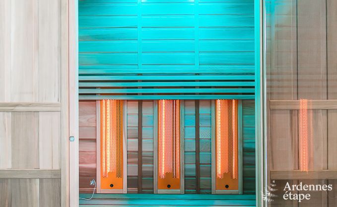 Ferienhaus Paliseul 14 Pers. Ardennen Schwimmbad Wellness Behinderten gerecht