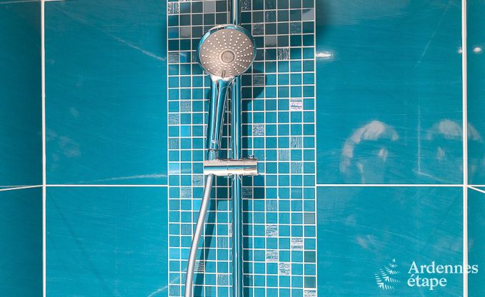 Ferienhaus Paliseul 14 Pers. Ardennen Schwimmbad Wellness Behinderten gerecht