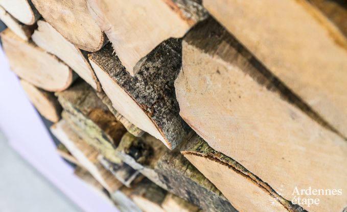 Ferienhaus Paliseul 14 Pers. Ardennen Schwimmbad Wellness Behinderten gerecht