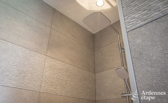 Luxusvilla Paliseul 15 Pers. Ardennen