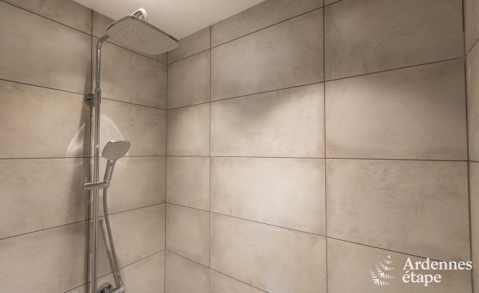 Luxusvilla Paliseul 15 Pers. Ardennen