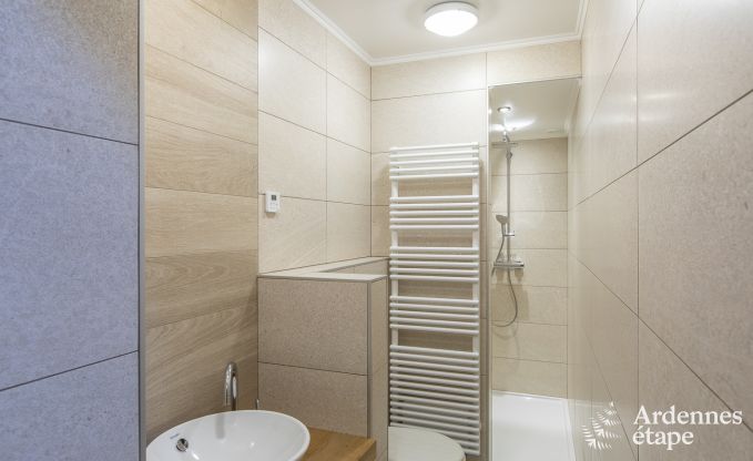 Luxusvilla Paliseul 15 Pers. Ardennen