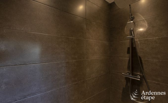 Luxusvilla Paliseul 15 Pers. Ardennen