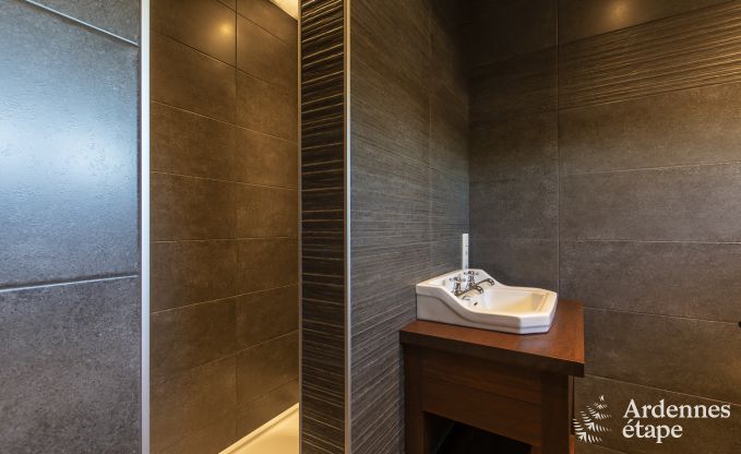 Luxusvilla Paliseul 15 Pers. Ardennen