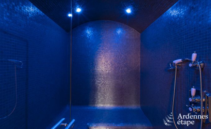 Luxusvilla Paliseul 8/10 Pers. Ardennen