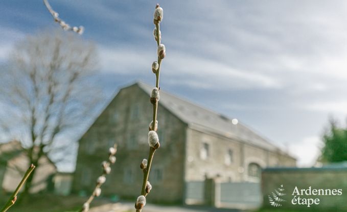 Luxusvilla Paliseul 26 Pers. Ardennen