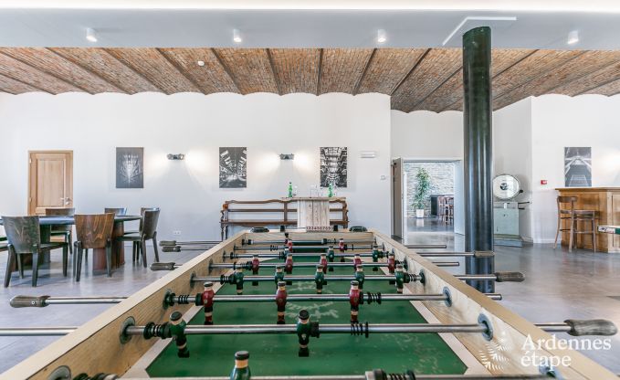 Luxusvilla Paliseul 26 Pers. Ardennen