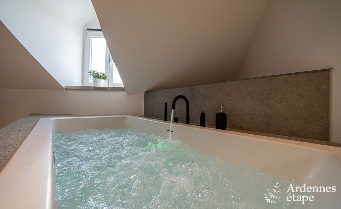 Romantisches Herrenhaus mit Sauna und Whirlpool f�r 2 Personen in Petit-Rechain, Ardennen