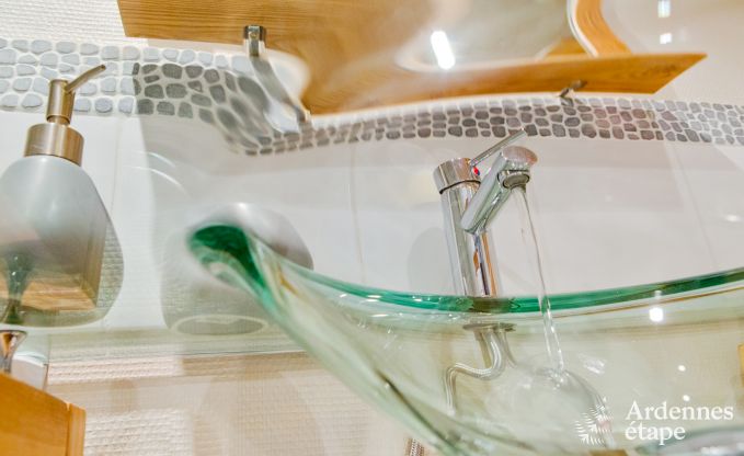 Ferienhaus Philippeville 9 Pers. Ardennen