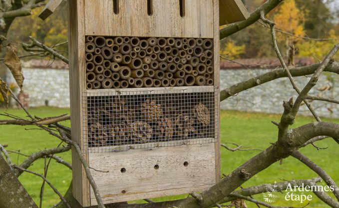 Ferienhaus Philippeville 12/14 Pers. Ardennen