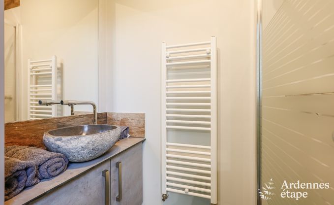 Luxusvilla Philippeville 18 Pers. Ardennen Schwimmbad Behinderten gerecht