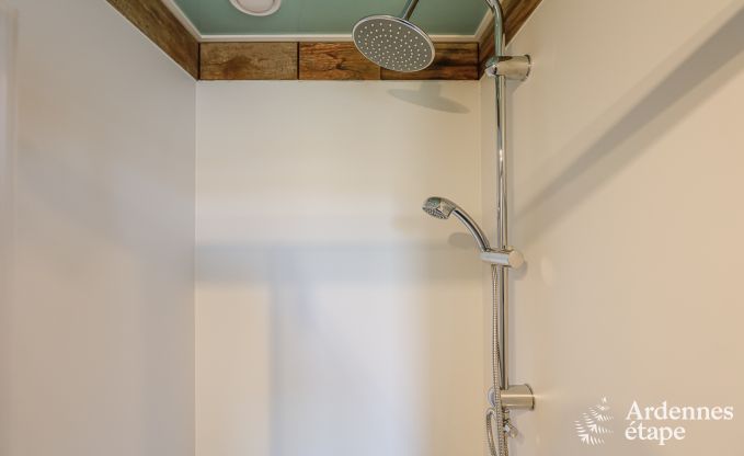 Luxusvilla Philippeville 18 Pers. Ardennen Schwimmbad Behinderten gerecht