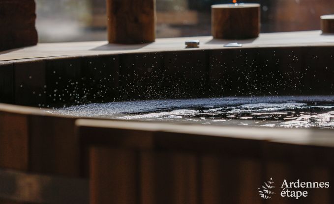 Luxusvilla Philippeville 18 Pers. Ardennen Schwimmbad Behinderten gerecht