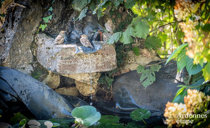 Ferienhaus Philippeville 6 Pers. Ardennen Schwimmbad