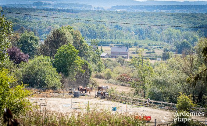 Ferienhaus Philippeville 6 Pers. Ardennen Schwimmbad