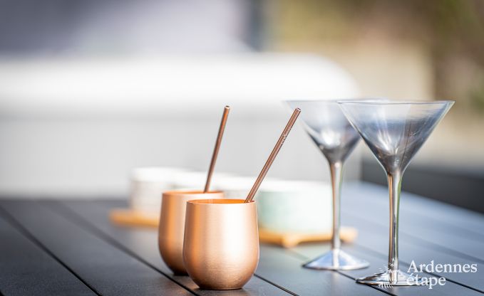 Luxusferienhaus in Plombires: Villa fr 6 Personen mit Jacuzzi, 3 Schlafzimmern und privatem Garten