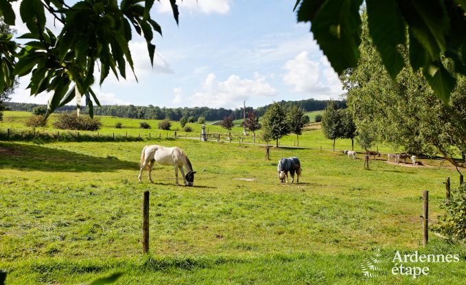 Urlaub auf dem Bauernhof für 6 Personen in Plombières (Ardennen)