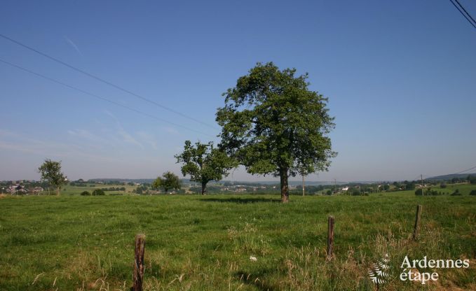 Ferienhaus Plombi�res 12 Pers. Ardennen