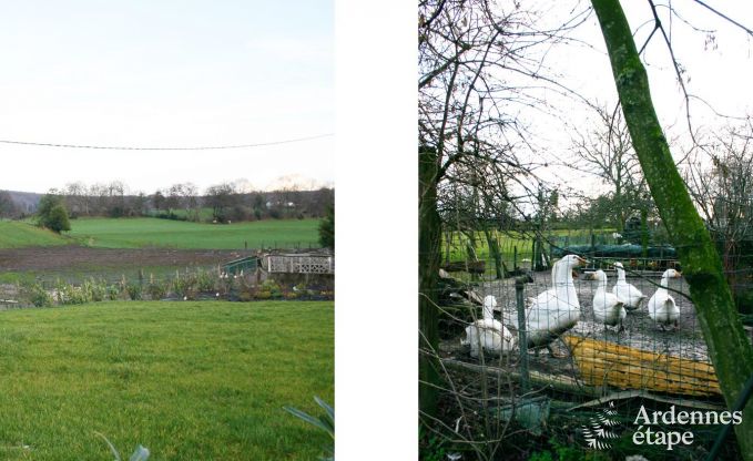 Ferienhaus Plombi�res 4 Pers. Ardennen