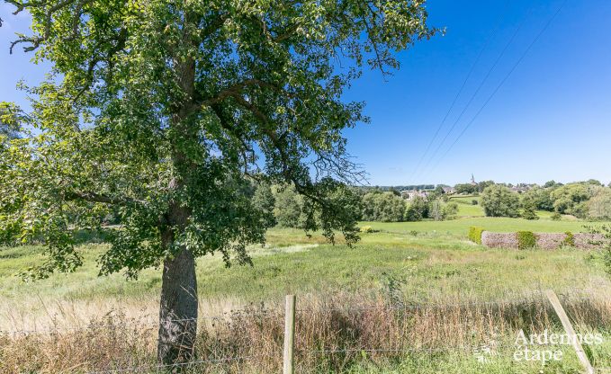 Ferienhaus Plombi�res 9 Pers. Ardennen Wellness