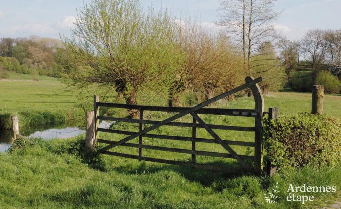 Schloss Plombi�res 9 Pers. Ardennen