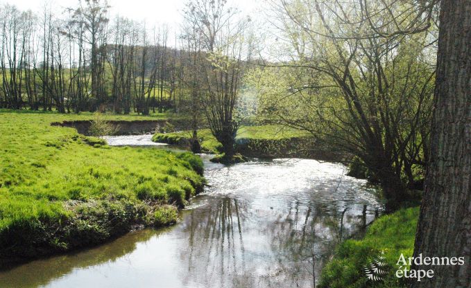 Schloss Plombi�res 9 Pers. Ardennen